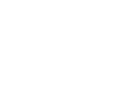 Levity Live